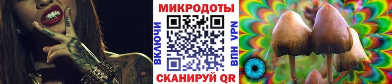 Псилоцибиновые грибы Psilocybine cubensis  Николаевск-на-Амуре 